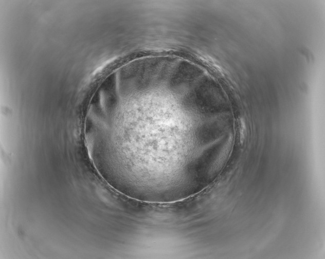 X0000090891158200708101357