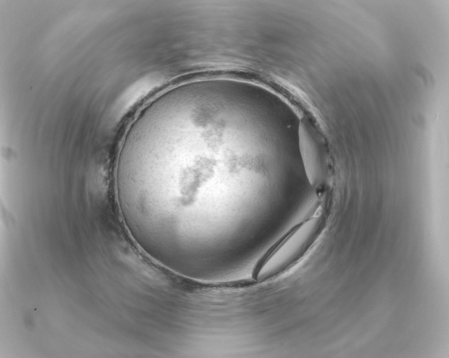 X0000090891163200708101357