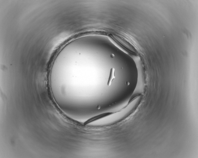 X0000090891164200708101357