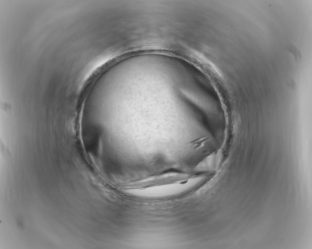 X0000090891166200708101357