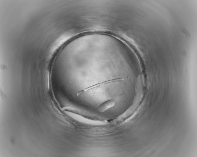 X0000090891171200708101357