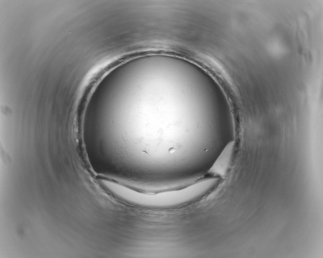 X0000090891172200708101357