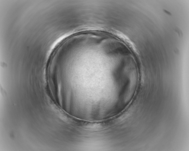 X0000090891174200708101357