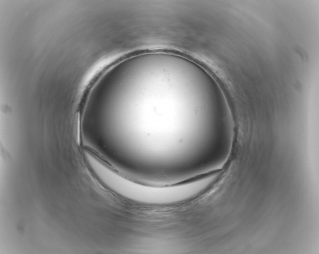 X0000090891175200708101357