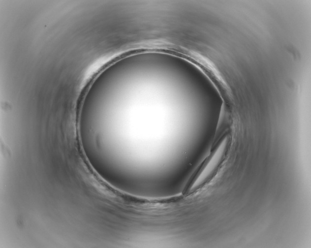 X0000090891176200708101357