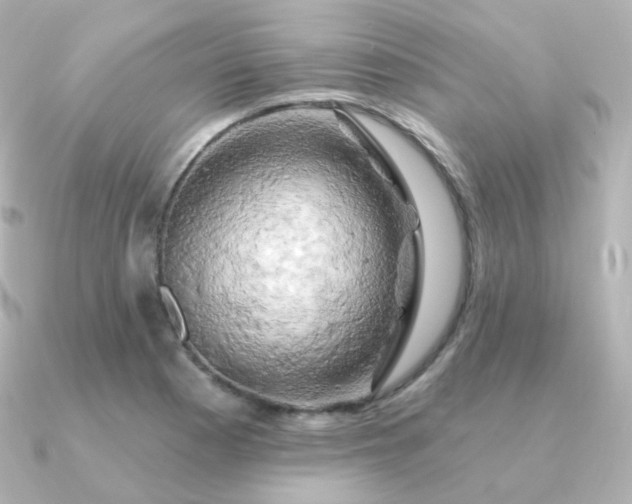 X0000090891177200708101357