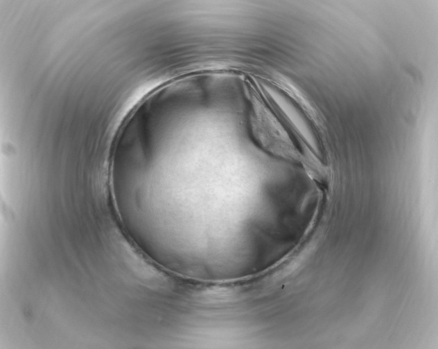 X0000090891178200708101357