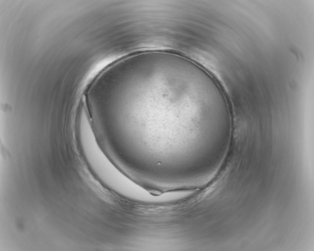 X0000090891179200708101357