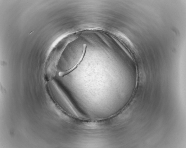 X0000090891182200708101357