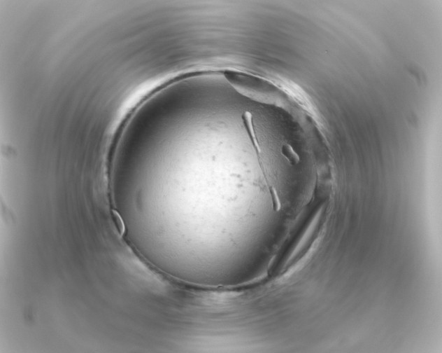 X0000090891184200708101357