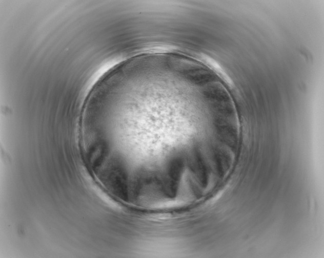 X0000090891186200708101357