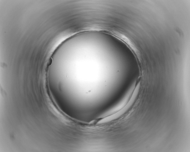 X0000090891187200708101357