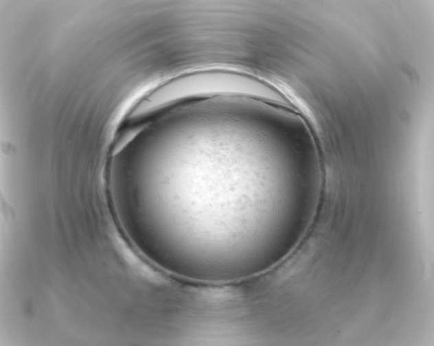 X0000090891189200708101357