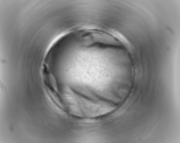 X0000090891190200708101357