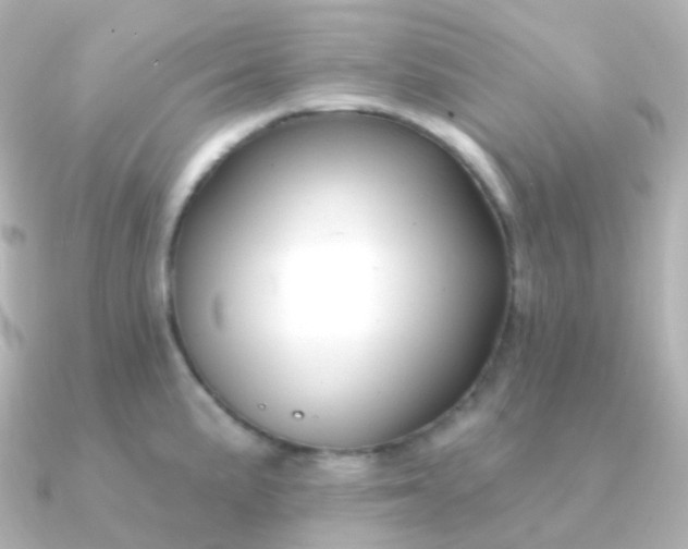 X0000090891191200708101357