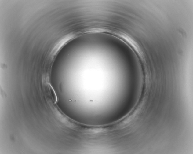 X0000090891193200708101357