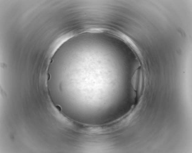 X0000090891194200708101357