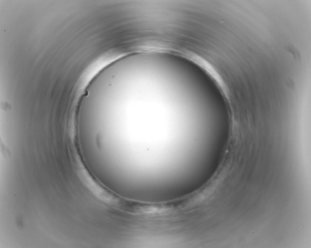 X0000090891195200708101357