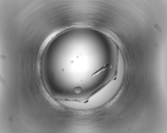 X0000090891196200708101357