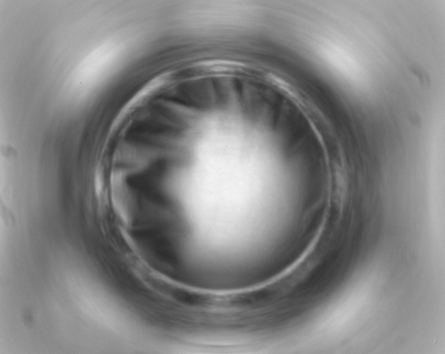 X0000090891198200708101357