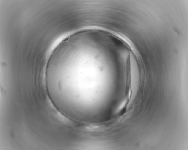 X0000090891199200708101357