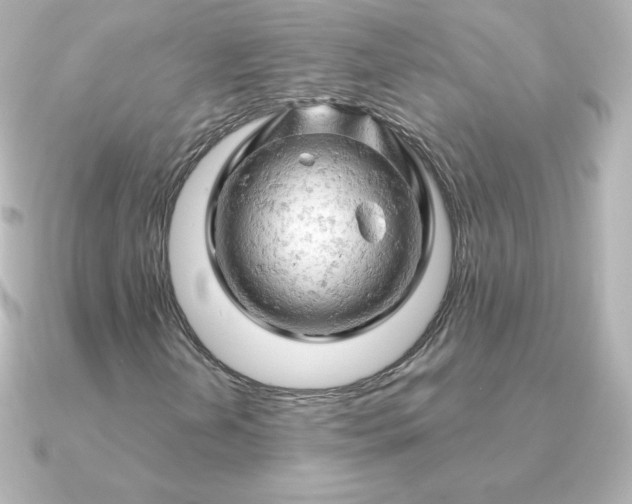 X0000090891202200708101356