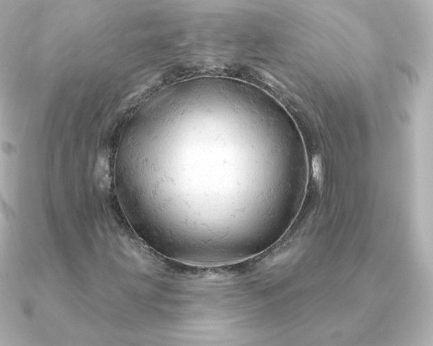 X0000090891203200708101356