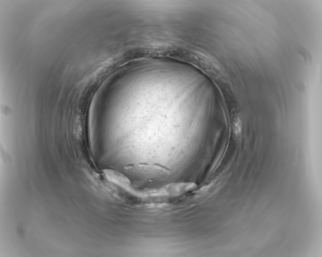 X0000090891204200708101356