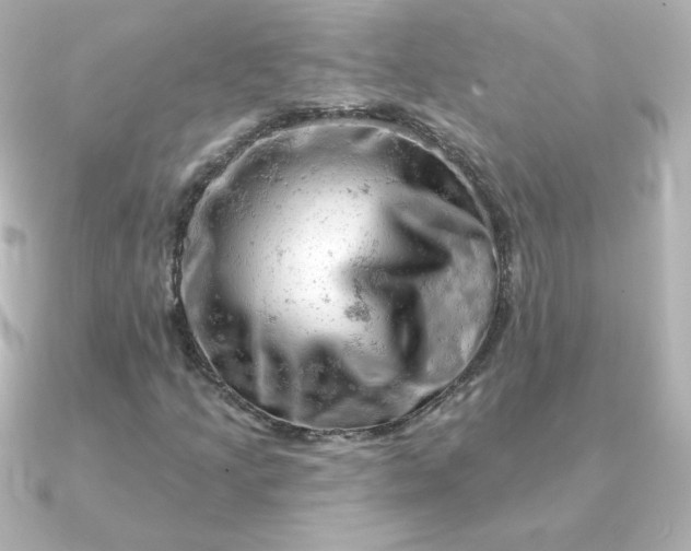 X0000090891205200708101356