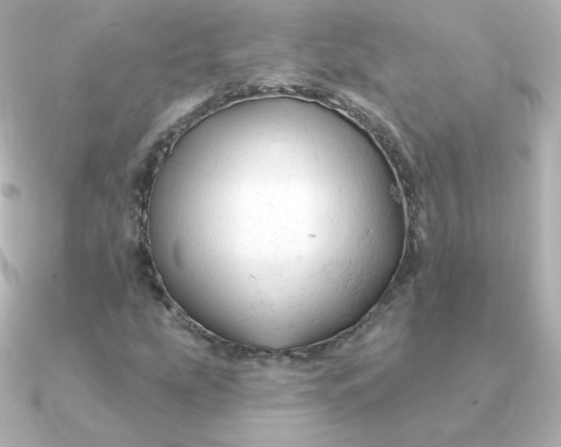 X0000090891207200708101356