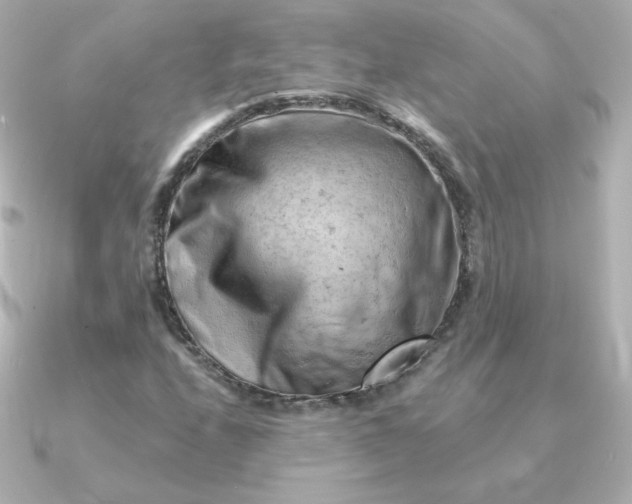 X0000090891208200708101356