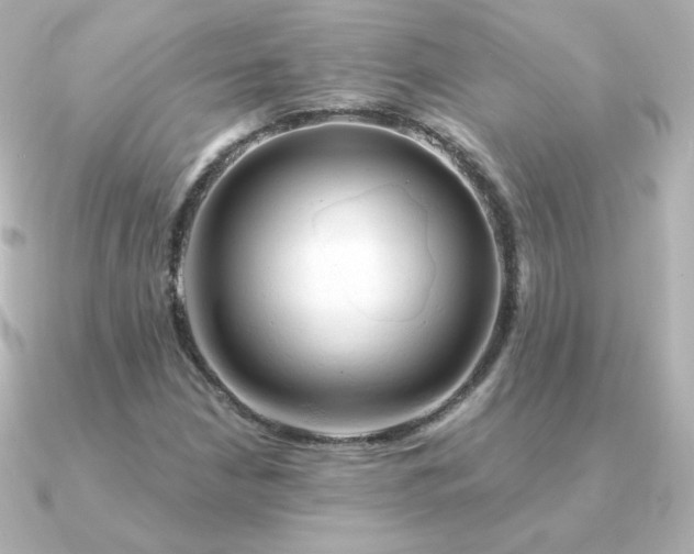 X0000090891210200708101356