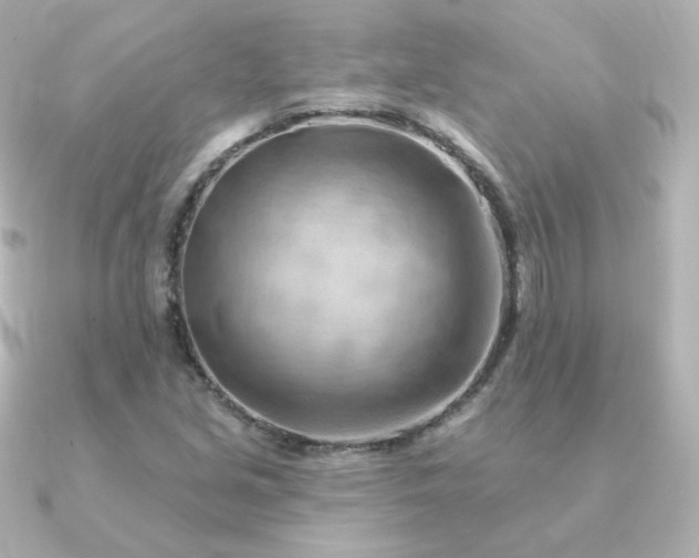 X0000090891213200708101356