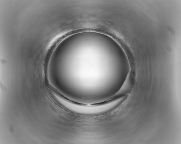 X0000090891214200708101356