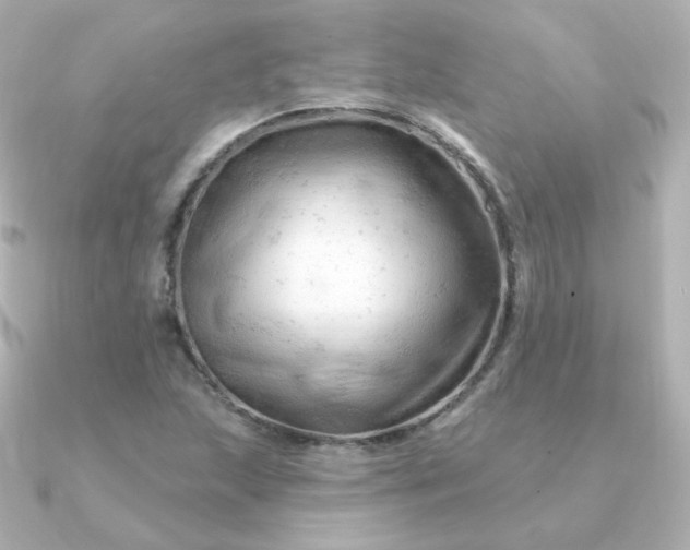 X0000090891215200708101356