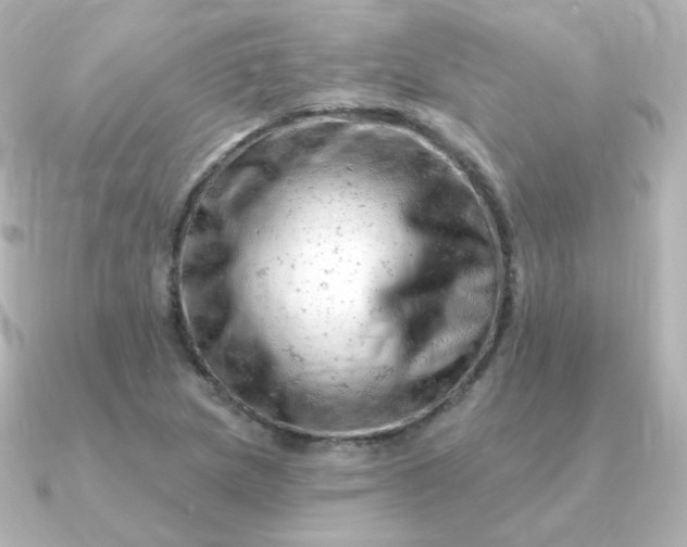 X0000090891217200708101356