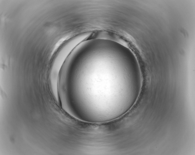 X0000090891218200708101356