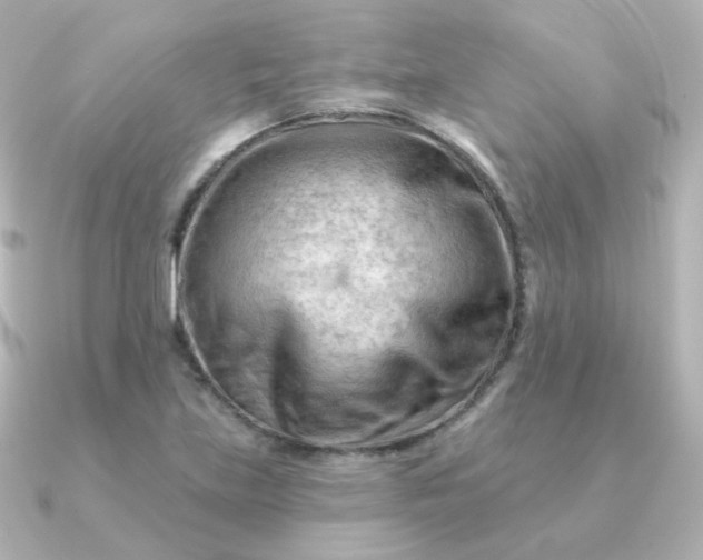 X0000090891219200708101356