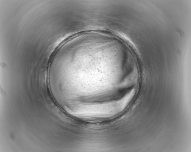 X0000090891220200708101356