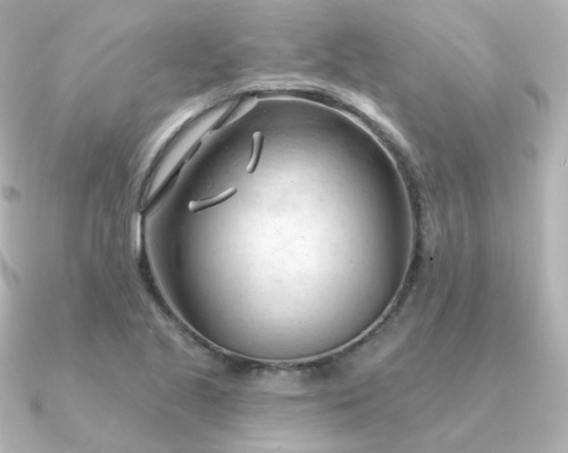 X0000090891221200708101356