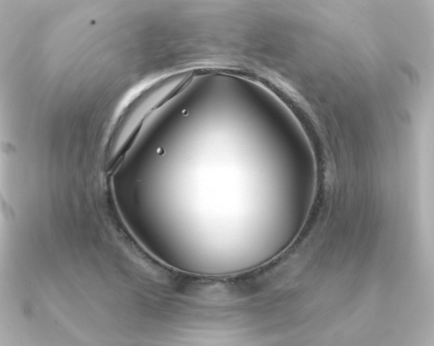 X0000090891222200708101356