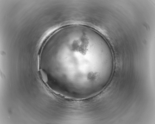 X0000090891223200708101356