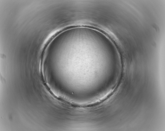 X0000090891224200708101356