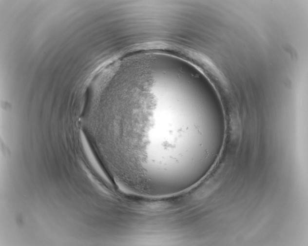 X0000090891225200708101356