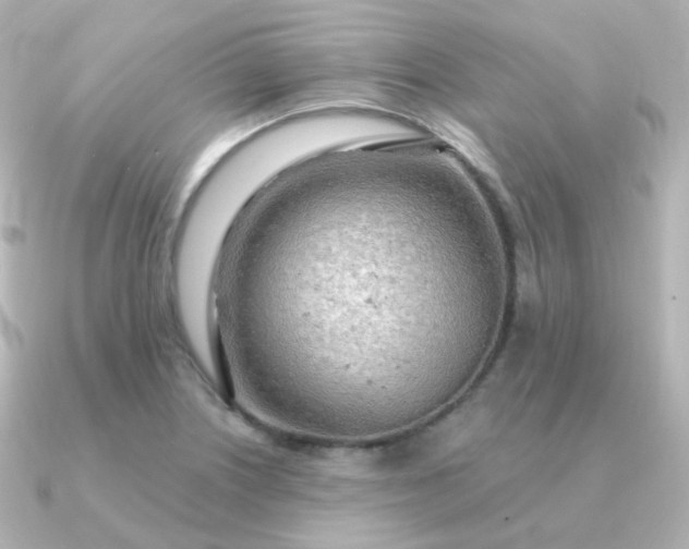 X0000090891226200708101356