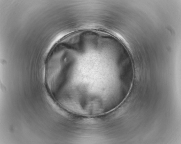 X0000090891227200708101356