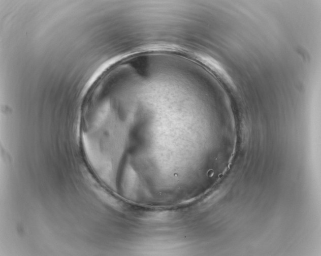 X0000090891228200708101356