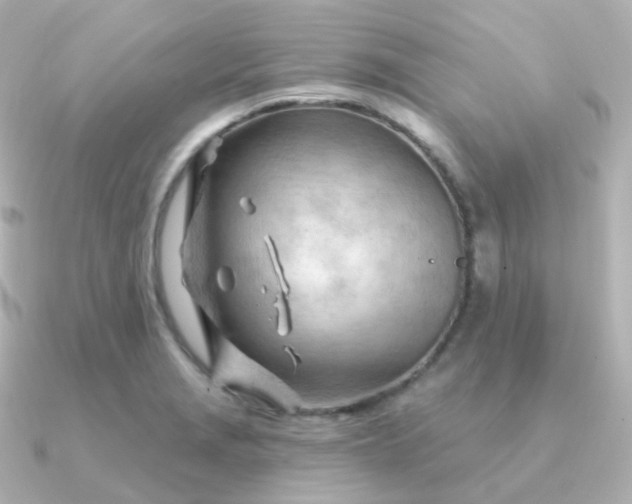 X0000090891229200708101356