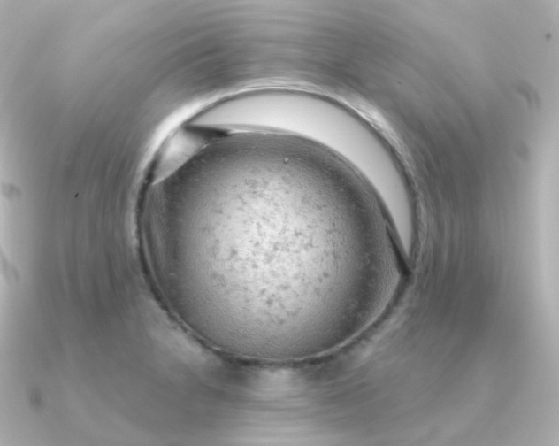 X0000090891230200708101356