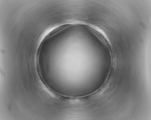 X0000090891231200708101356